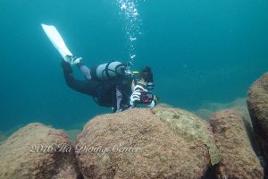 中性浮力を撮ってフォトダイブ