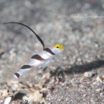 穏やかな海況が続いた10月！！