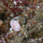 連休ベタ凪でスタート！