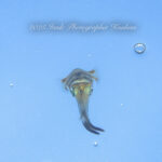 朝陽を求めて！！