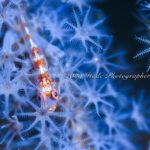 穏やかな週末でした♪