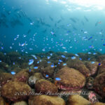 オープン出来ましたー！