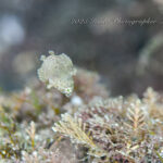 秋晴れでダイビング日和♪