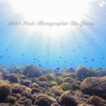 綺麗になってきました♪