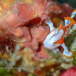 視察会開催しました♪