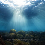 2025年ラストダイブ！ありがとうございました！！！