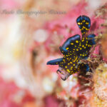 12月の海が絶好調！