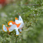 人気生物が盛り沢山！