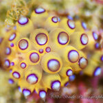 12月の海が楽しすぎるーーー♪