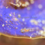 楽しい年末が続いてます！