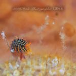 穏やかな海続いてます！