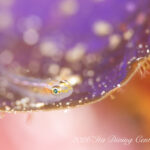 クローズ明けも変わらない井田ブルー♪