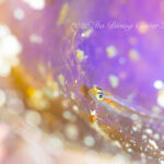 被写体とじっくり向き合う！