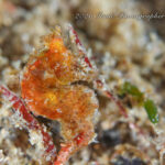 ようやく西風収まりました〜！