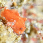 冬の海、楽しいですよー！！