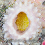 旬が盛りだくさん！