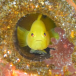 視察会を開催しました♪