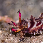 濁った井田も悪くないですね〜！