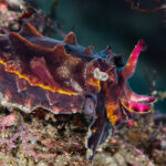 魚たちが沢山で気持ち良いー！