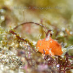 もう春ですねぇ〜♪