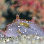 今日も穏やかな1日でした。