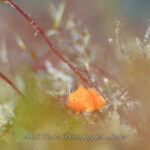 寒さも忘れる面白さ！！！