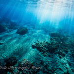 今日も荒れずに潜れました〜