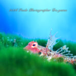 水槽の中泳いでるみたい…！！