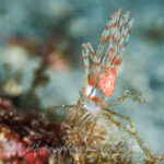 急に綺麗になったー！