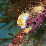 雨の影響無く綺麗に見えてます！