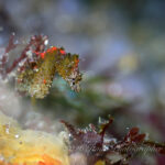 穏やかな海続いてます！