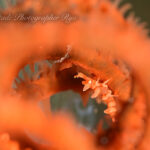 濁りが消えて綺麗になりましたー！