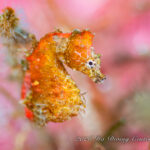 東風でGoodコンディション！