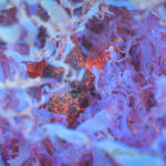 最高のダイビング日和に♪