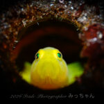 海も陸も穏やか〜な日常です！