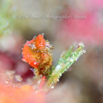 3連休初日はマクロで盛り沢山です！！