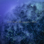 サルパが大量、、でも水はめっちゃ綺麗！！！