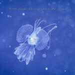 出たーーー！キアンコウおチビ！！！