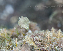 秋晴れでダイビング日和♪