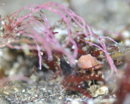 時化から一転ベタ凪でオープン！