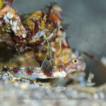 穏やかな毎日です！