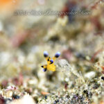 寒い時期でも楽しみが沢山！