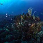ウネリは収まり穏やかな海況♪