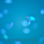 風波が入り荒れてきました〜