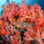 穏やかな海、続いてます！！