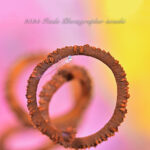 時化る前に午前中勝負！