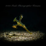 ウネリあるも水綺麗〜♪