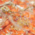 今日も新たな出会いが♪