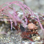 時化から一転ベタ凪でオープン！