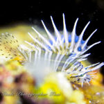 ３連休ありがとうございました！